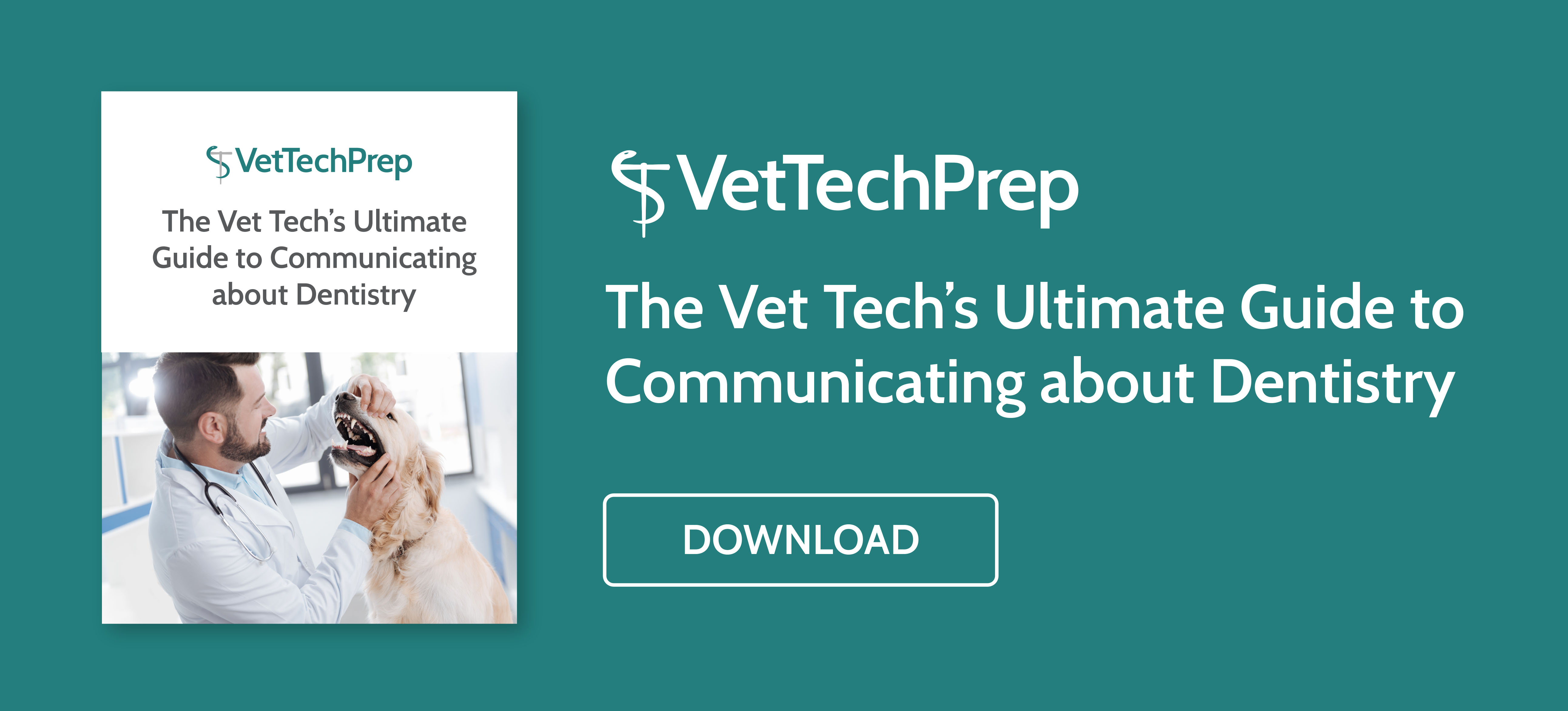 Download The Vet Tech's Ultimate Guide to Communicating about Dentistry